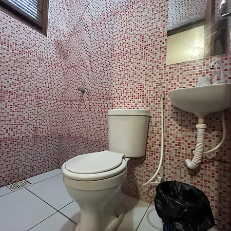 Estilo Brasil 2*